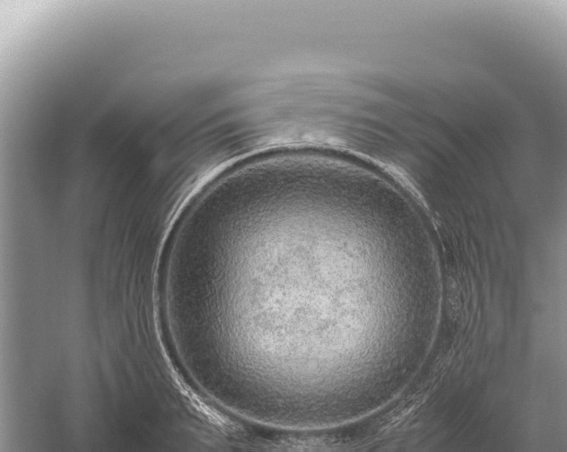 X0000059250895200510211626