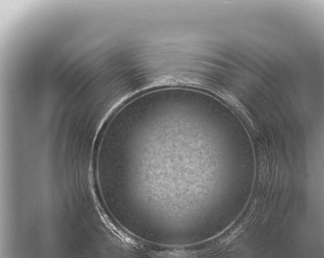 X0000059250896200510211626