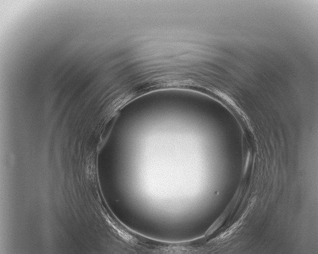 X0000059250897200510211626