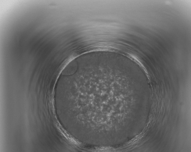 X0000059250899200510211626