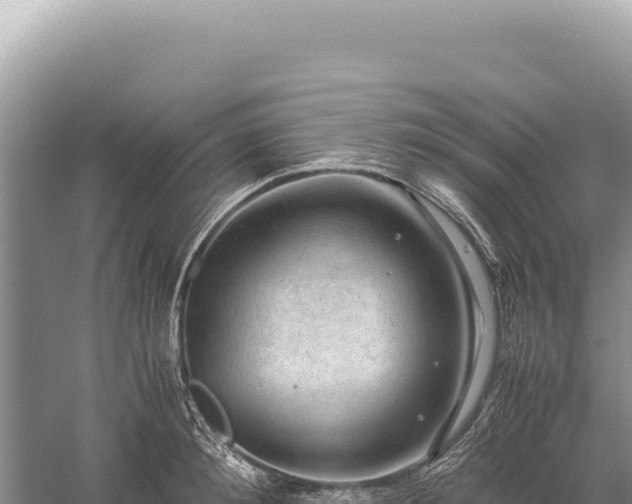 X0000059250900200510211626