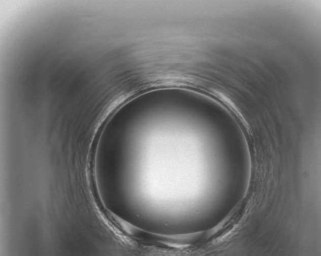 X0000059250901200510211626