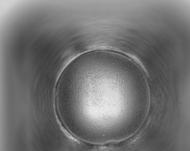 X0000059250903200510211625