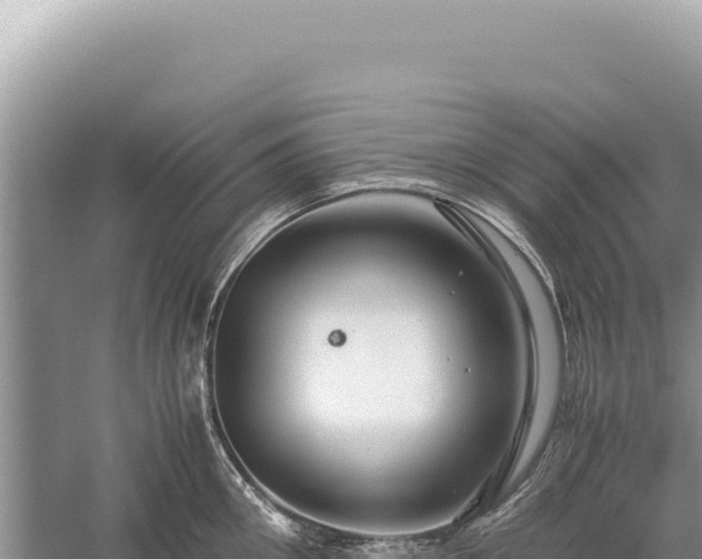 X0000059250906200510211625