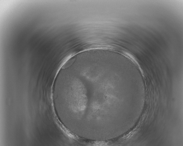 X0000059250907200510211625