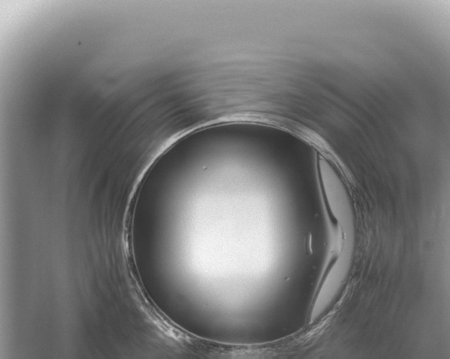 X0000059250908200510211625