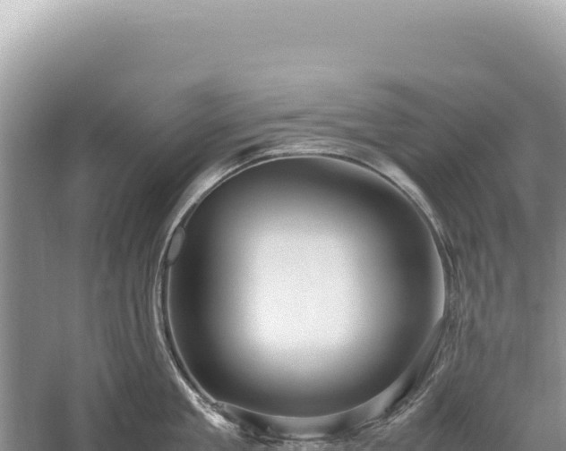 X0000059250909200510211625