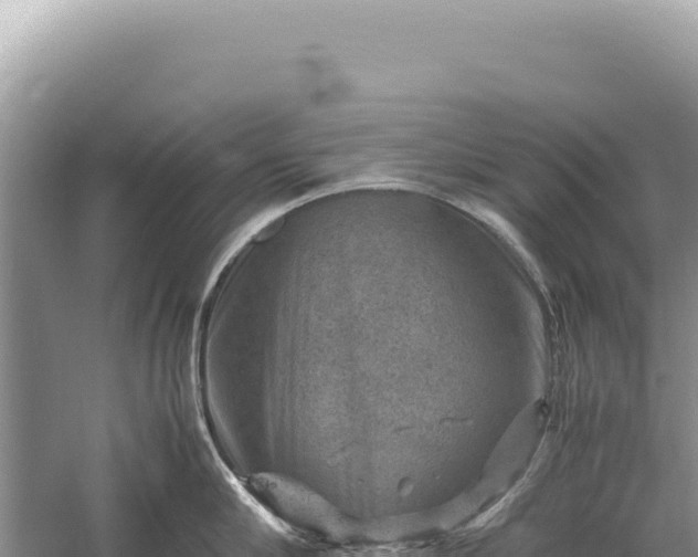 X0000059250910200510211625