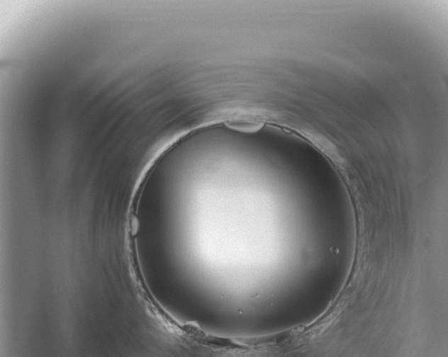 X0000059250912200510211625