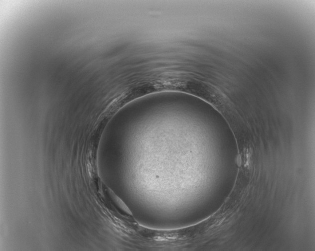 X0000059250915200510211625