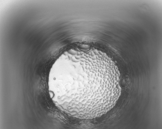 X0000059250918200510211625