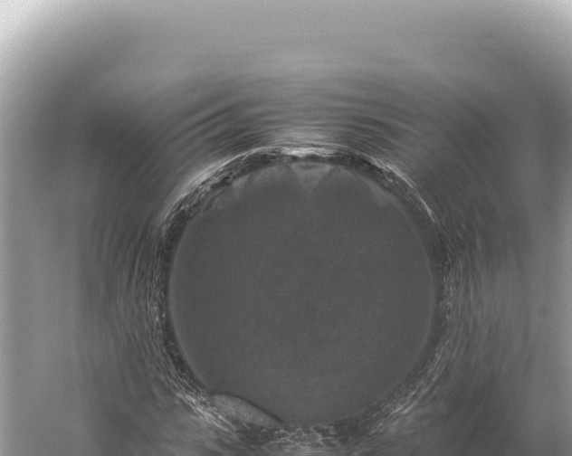 X0000059250919200510211625