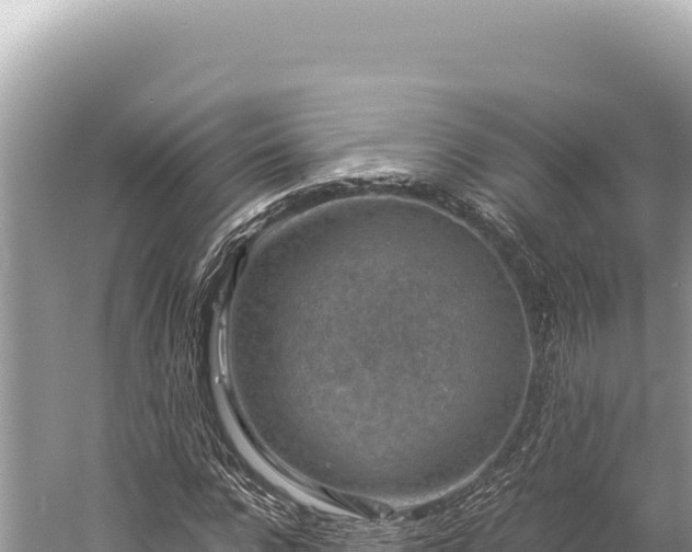 X0000059250920200510211625