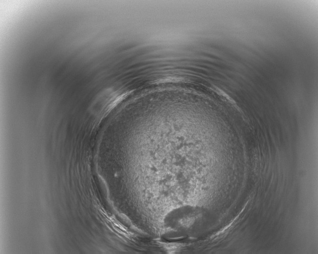 X0000059250921200510211625