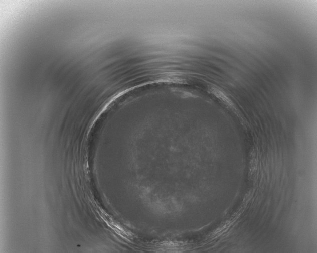 X0000059250923200510211625