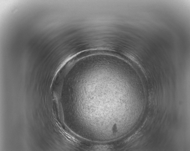 X0000059250925200510211625