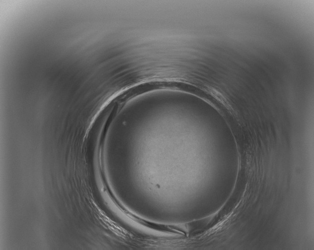 X0000059250926200510211625