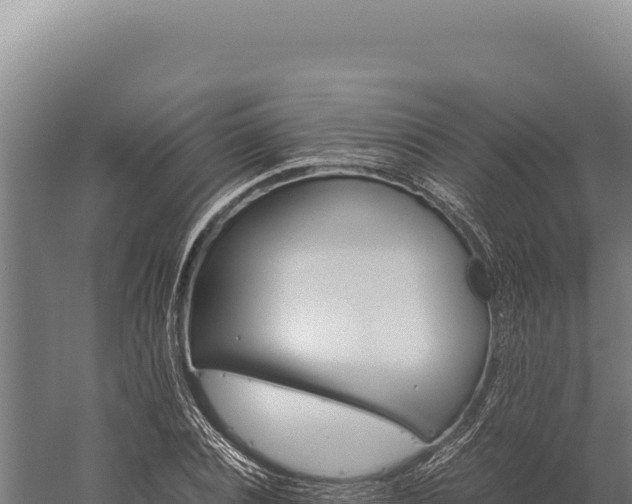 X0000059250928200510211625