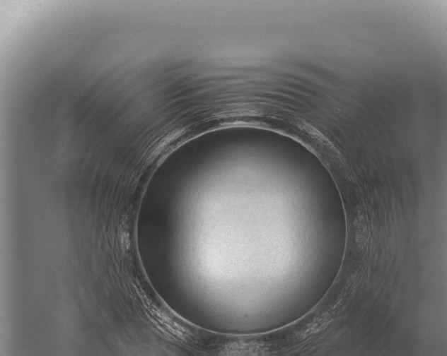 X0000059250929200510211625