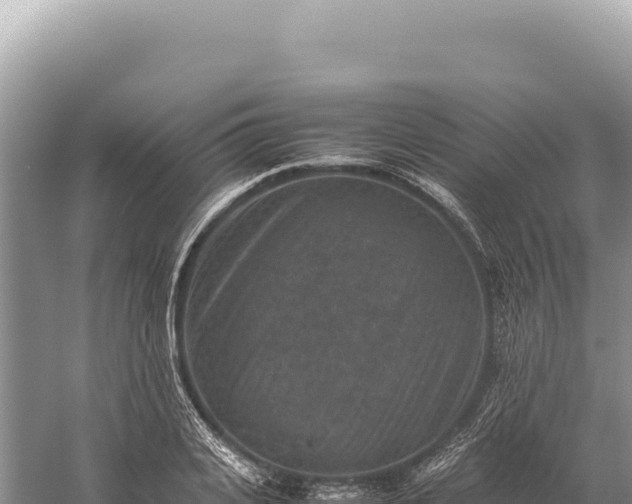 X0000059250935200510211625