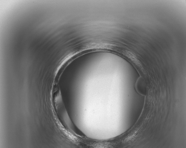 X0000059250936200510211625