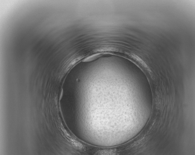 X0000059250937200510211625