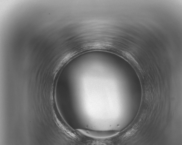 X0000059250938200510211625