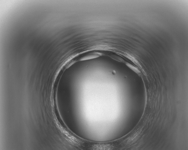 X0000059250939200510211625