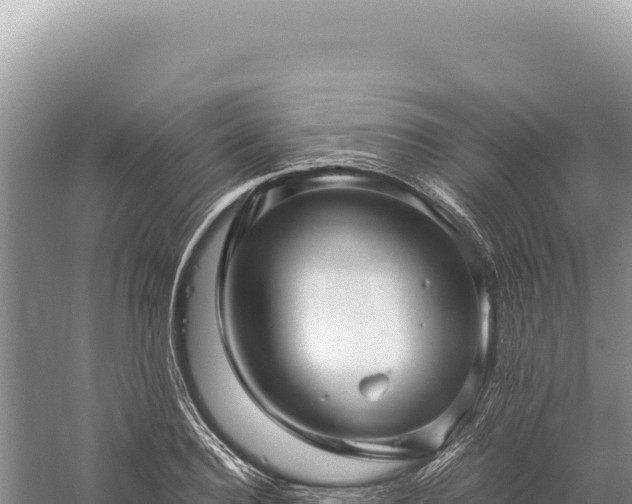 X0000059250940200510211625