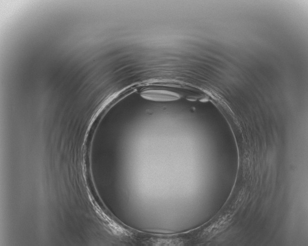 X0000059250941200510211625