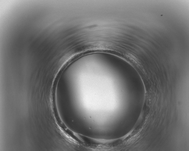 X0000059250942200510211625