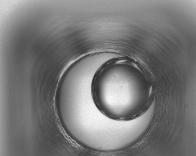 X0000059250944200510211625