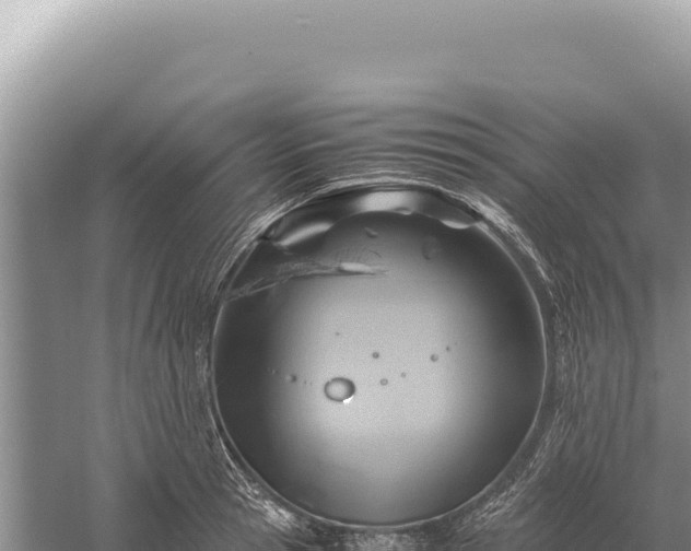 X0000059250945200510211625