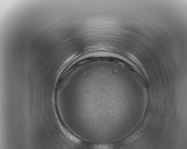 X0000059250946200510211625