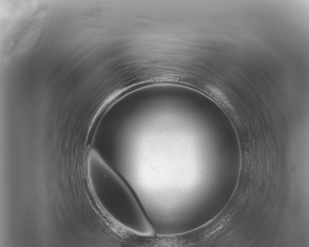 X0000059250948200510211625