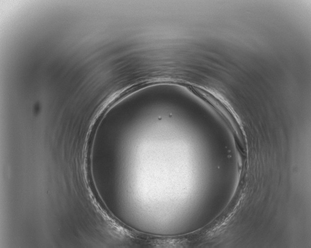 X0000059250949200510211625