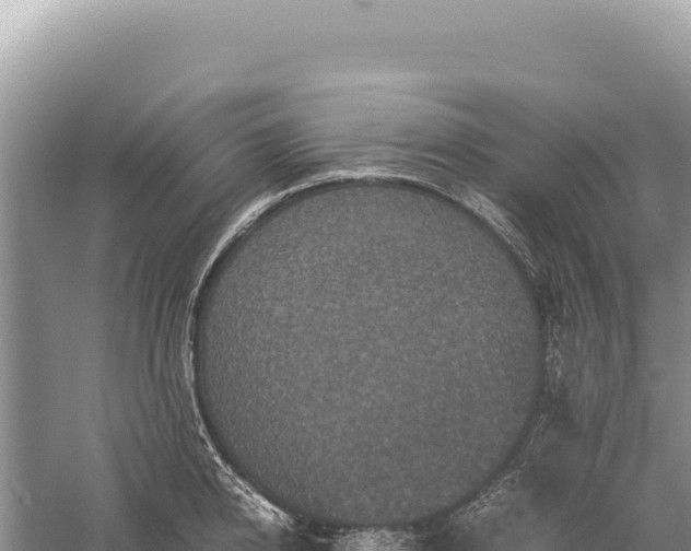 X0000059250950200510211625