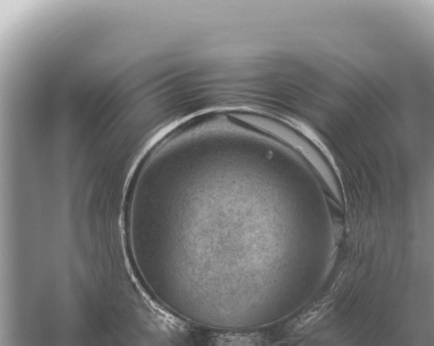 X0000059250951200510211625