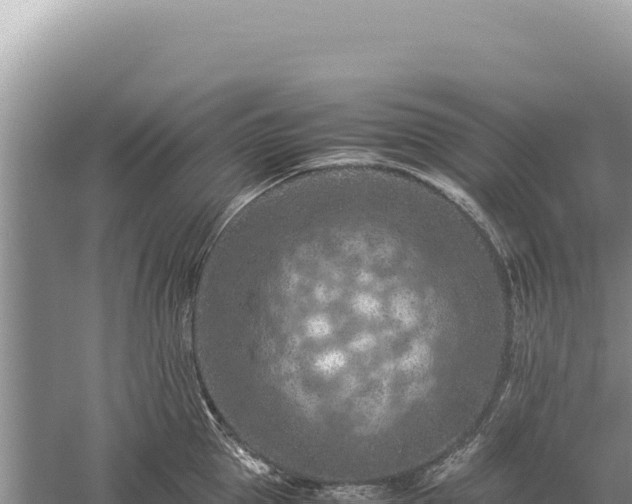 X0000059250953200510211625