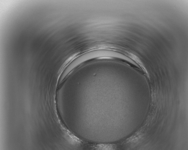 X0000059250954200510211625