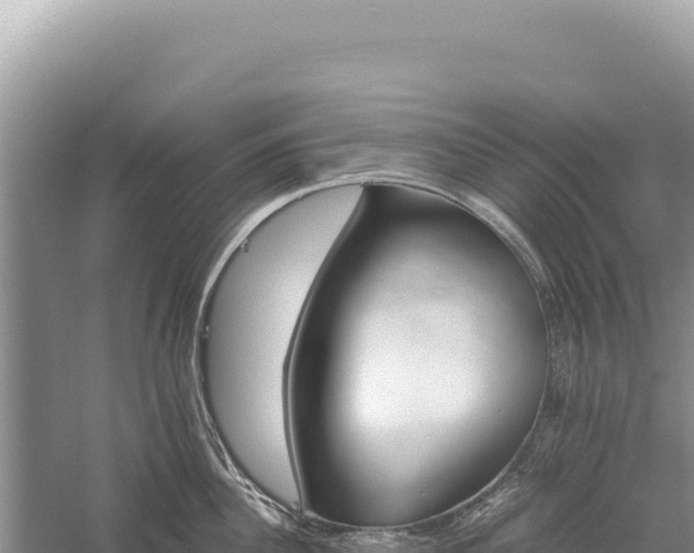 X0000059250956200510211625