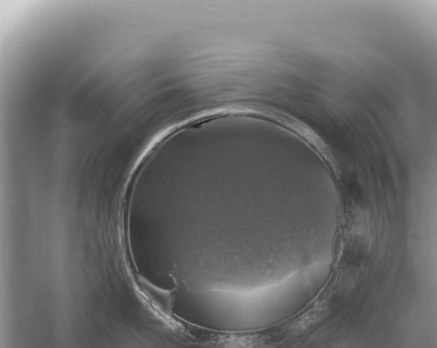 X0000059250958200510211625