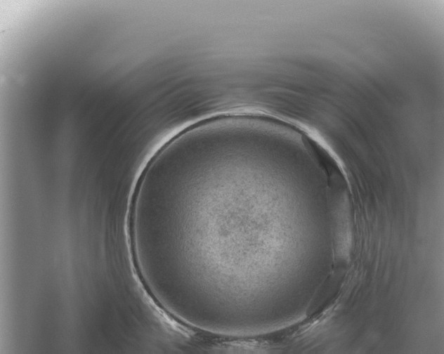 X0000059250959200510211625