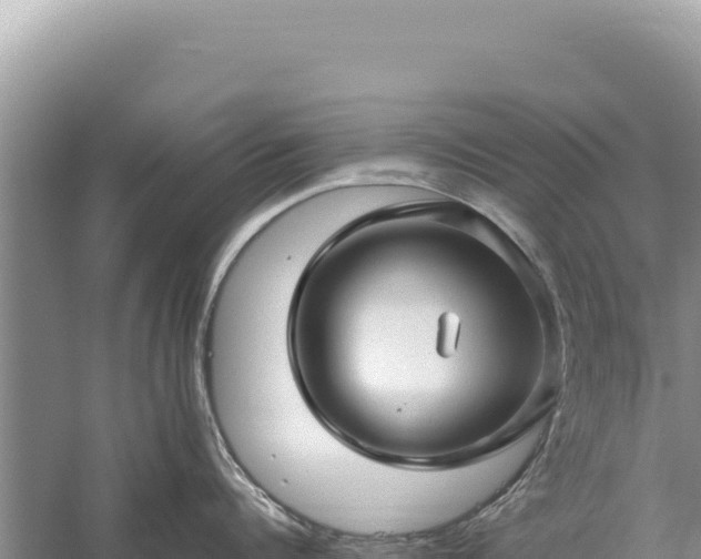 X0000059250960200510211625