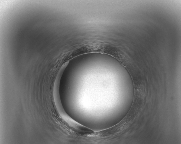 X0000059250961200510211625