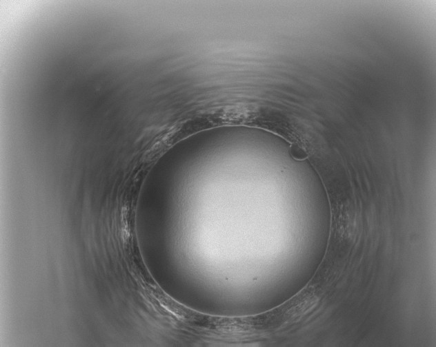 X0000059250962200510211624