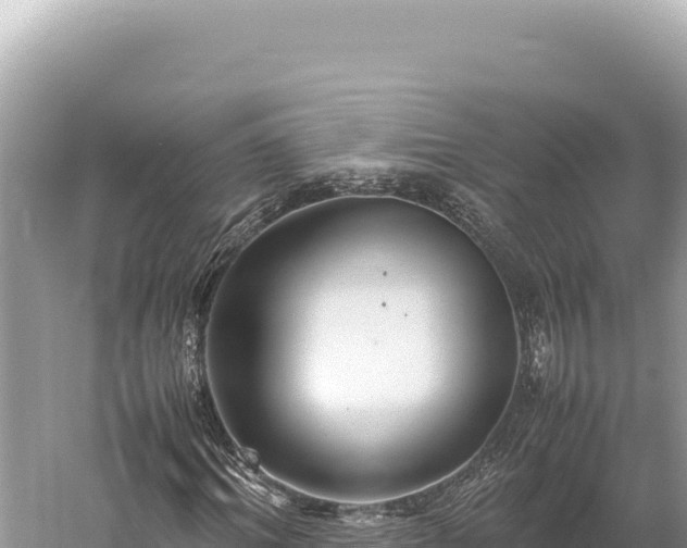 X0000059250964200510211624