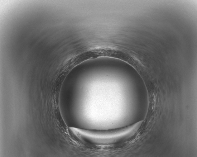 X0000059250965200510211624