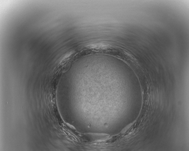 X0000059250966200510211624