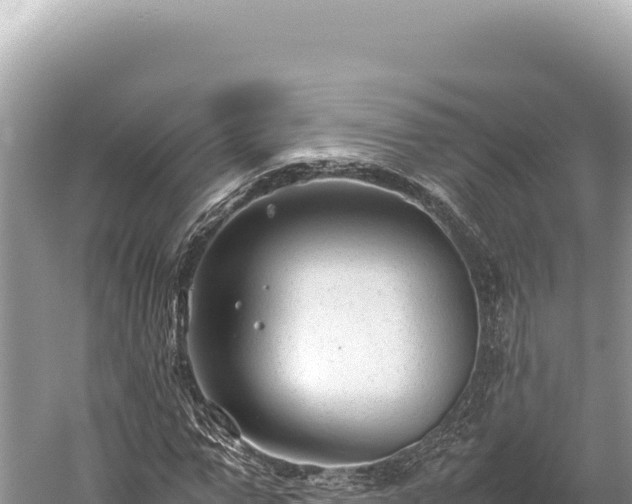 X0000059250967200510211624